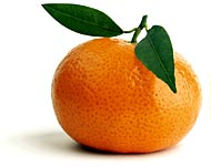 Mandarina